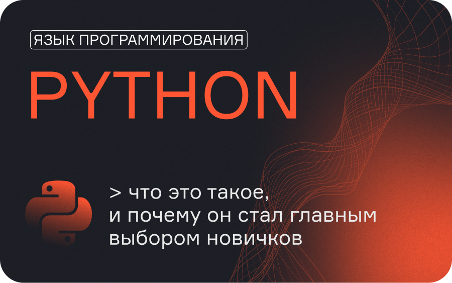 Язык программирования Python: что это такое, и почему он стал главным выбором новичков  